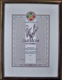 Диплом 27